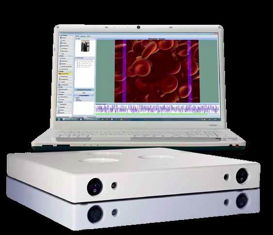 Timewaver Cybernetics Biotech Limited